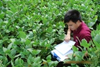 公司研究员赴黑龙江考察2009年大豆产量情况