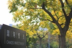 关于上海混沌投资（集团）有限公司向混沌价值一号基金追加资金并让渡投资收益的公告