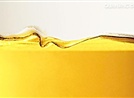 2009-06-19